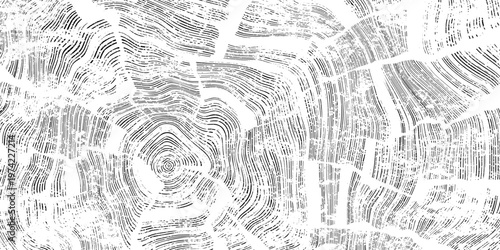 Log cut, wood texture, tree rings pattern, shades of gray, rough vector background