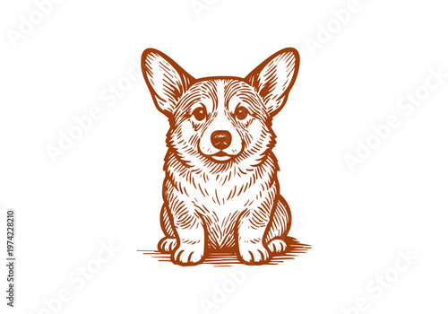 Corgi dog hand drawn sketch vector illustration pet