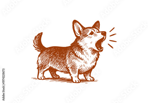 Corgi dog hand drawn sketch vector illustration pet