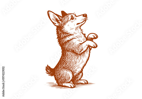 Corgi dog hand drawn sketch vector illustration pet