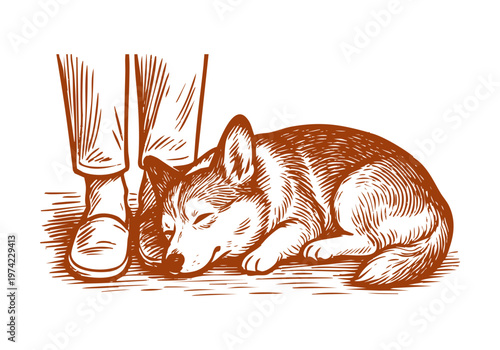 Corgi dog hand drawn sketch vector illustration pet