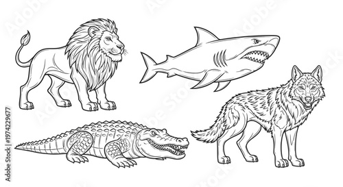 Lion shark crocodile wolf animals.