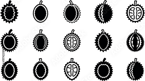 Black and white durian fruit in various styles tropical