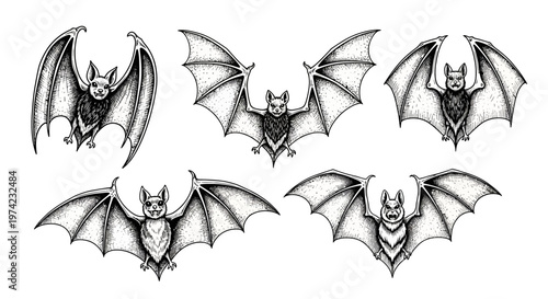 Black and white illustration of bats.