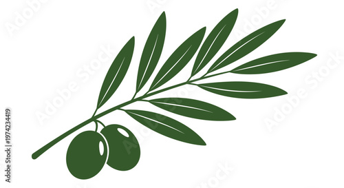 Green olive branch with two fresh olives on white background