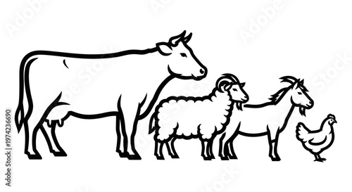 Cow sheep goat and chicken animals.