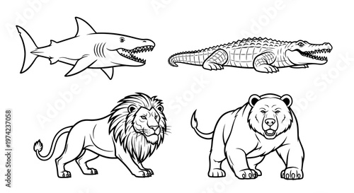 Wild animals lion shark crocodile bear.