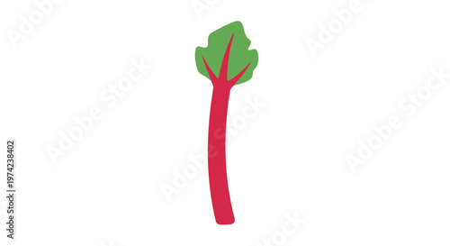 Fresh red rhubarb stalk with green leaves isolated illustration