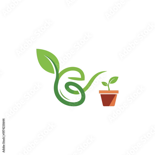 Green plant sprout with winding stem and potted seedling