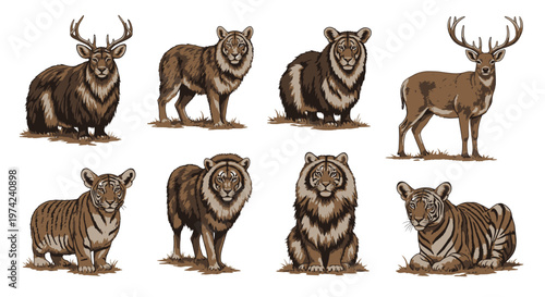 Collection of various wild animal species.