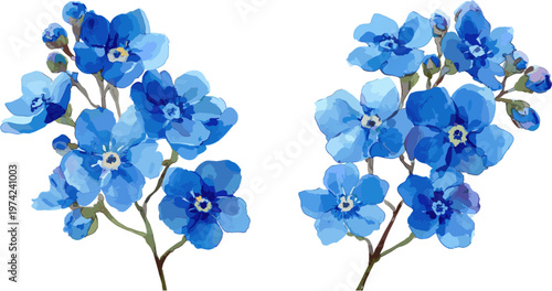 2 Sets of forget-me-not flowers with clipping path
