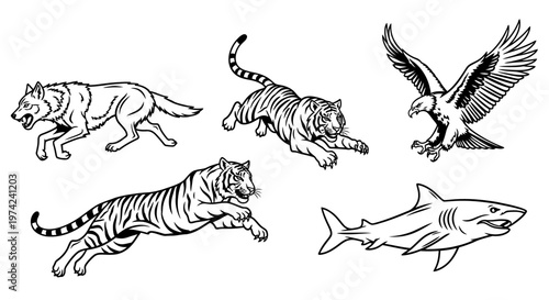 Animals including tiger shark eagle.