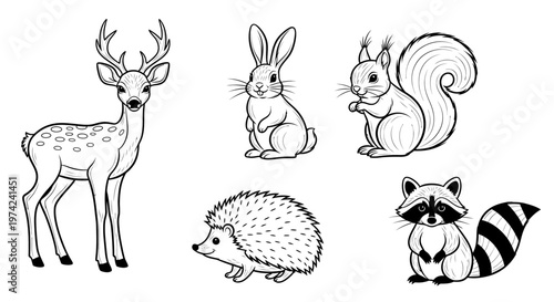 Deer rabbit squirrel raccoon hedgehog animals.