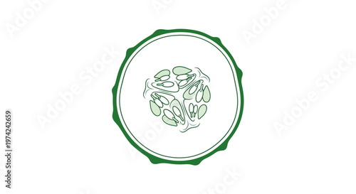 Cucumber slice cross-section showing seeds on white background