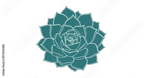 Minimalist teal succulent plant illustration on white background