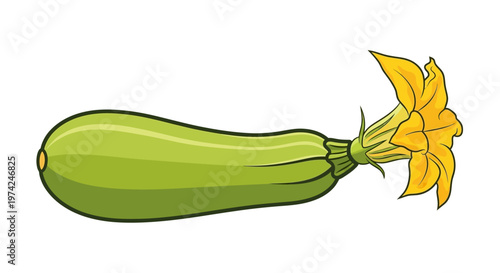 Cartoon zucchini squash with attached yellow flower blossom