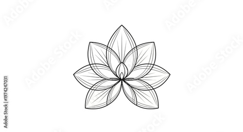 Elegant black outline lotus flower on white background