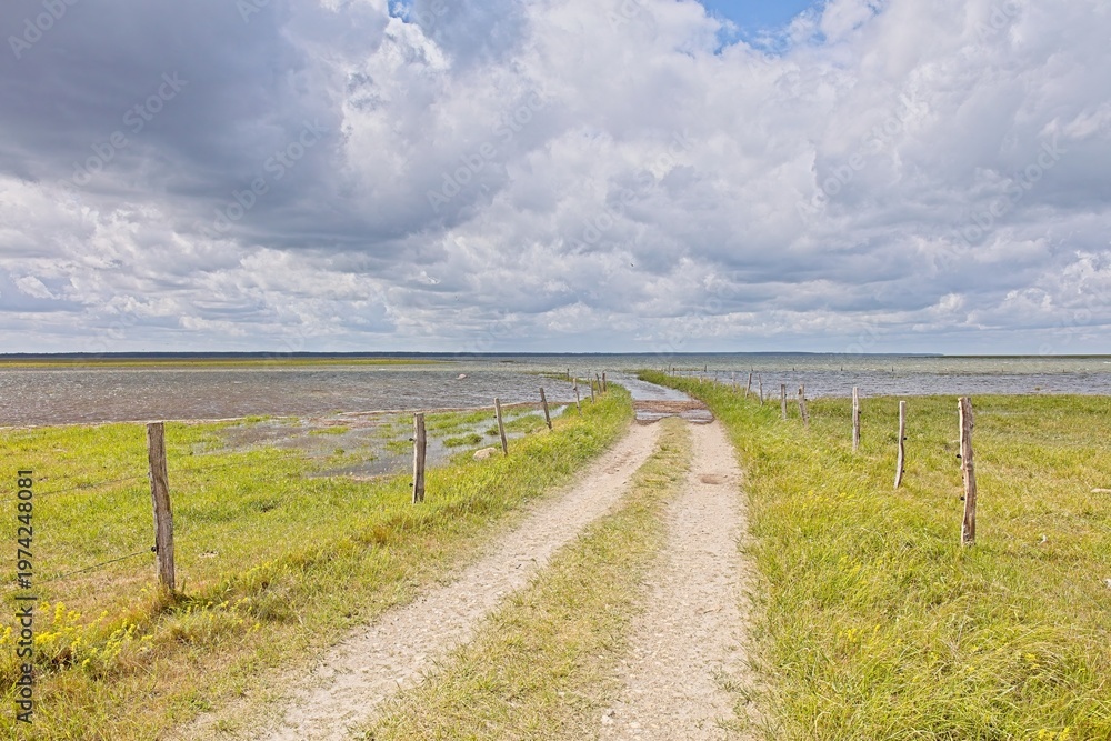 Fototapeta premium Dirt road passing through a rural, open landscape with sparse vegetation and a wooden fence along the side in cloudy summer weather, Muhu, Estonia, Europe.