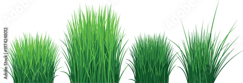 Collection of Grass Clumps in Various Shapes and Heights Vector Illustration for Landscaping, Nature, and Garden Design Concepts