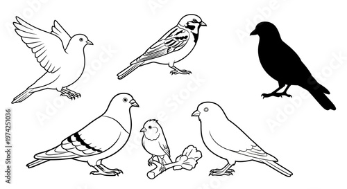 Group of birds standing together outdoors.