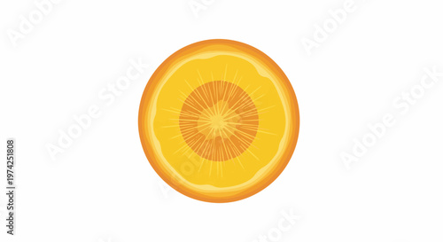 A stylized cross-section of a bright orange fruit, showing concentric rings and radiating segments