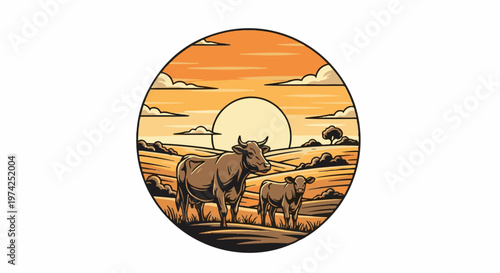 A cow and calf stand in a field at sunset, with rolling hills and clouds