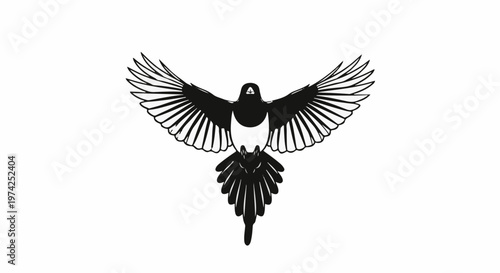 Stylized black and white bird with outstretched wings in flight