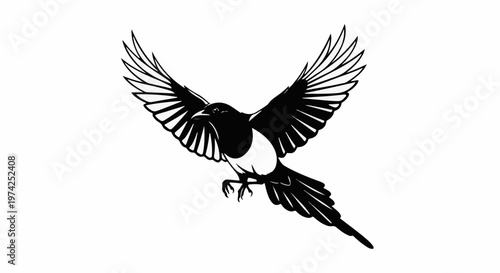 Black and white illustration of a magpie in mid-flight, wings outstretched