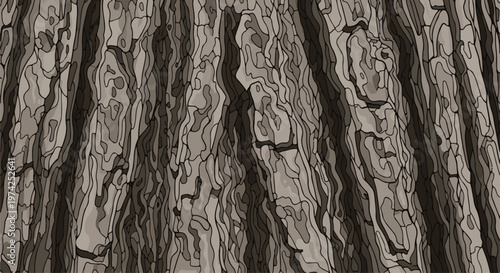 Close-up view of textured, gray tree bark with a mosaic-like pattern