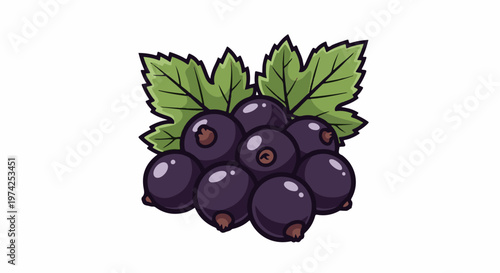 A cluster of dark purple berries with green leaves against a white background