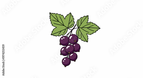 A cluster of ripe purple berries on a stem with green leaves