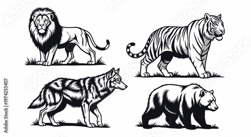 Lion Tiger Bear Wolf Animal Illustrations.