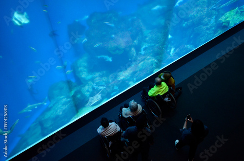 水族館の風景