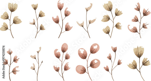 Clean watercolor illustration of eight floral branches with symmetrical leaves in olive burgundy coral and warm earthy tones