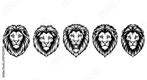 Black and white lion heads illustration.