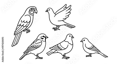 Group of birds standing together looking around.