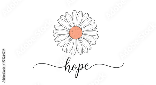 Beautiful white daisy flower with a peach center and the word hope written in elegant calligraphy script beneath it on a white background.
