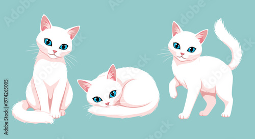 Collection of three cute white cats with blue eyes in different poses including sitting and sleeping on a light blue background for pet themes.