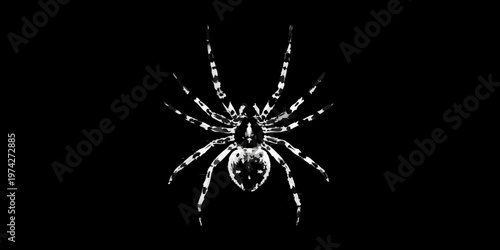 Detailed orb weaver spider against a dark background a striking silhouette