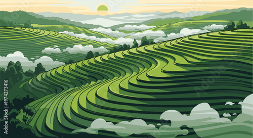 Lush green terraced hills under a hazy, sunlit sky with rolling clouds