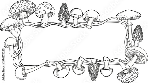 Ornate frame of assorted mushrooms and vines on a white background