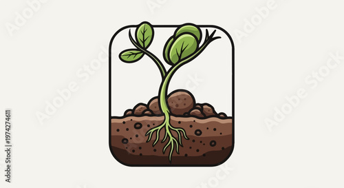 Young green sprout emerging from fertile soil with visible roots and pebbles