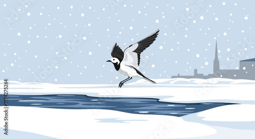 A small bird with black and white plumage hovers over a patch of open water on a snowy day with a distant city skyline