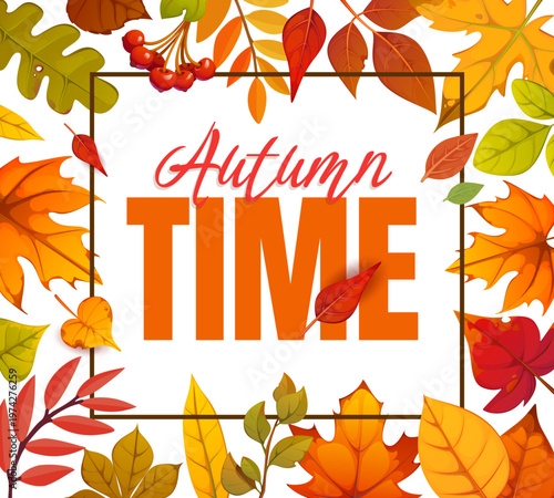 Autumn time banner with falling leaves and frame. Warm and inviting autumn banner featuring maple, chestnut and oak leaves, rowan berries. Charming vector illustration for seasonal greetings