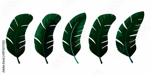 A collection of five vibrant elongated green tropical bird feathers