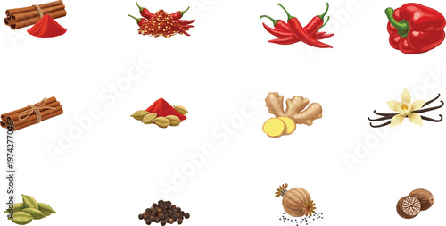 Large collection of culinary spices and herbs featuring cinnamon sticks chili peppers ginger vanilla cardamom black pepper and nutmeg isolated on white background for cooking