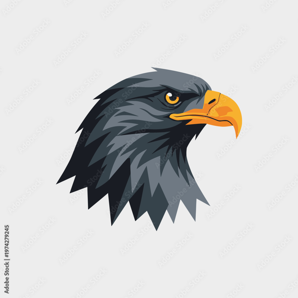 Obraz premium Majestic Eagle Head Close-up, Fierce Gaze, Symbol of Freedom and Power