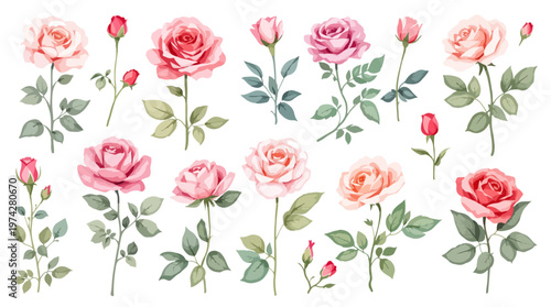 Light pink roses with delicate leaves forming a charming botanical pattern