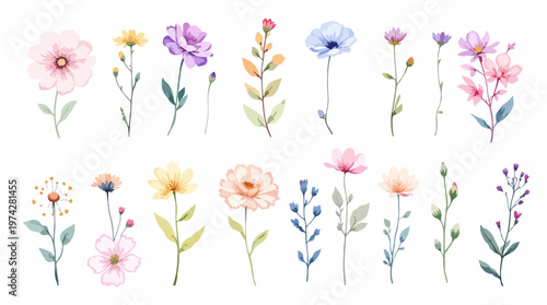 Neutral toned flower illustration arranged in a circular layout perfect for calm and sophisticated designs.