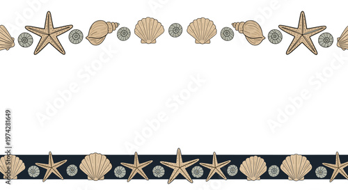 Nautical border frame featuring various seashells and starfish on a white background with a dark blue bottom stripe.